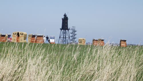 Grünstrand in Dorum Neufeld mit Strandkörben in der Hauptsaison